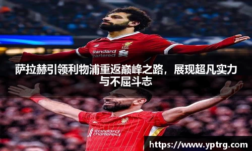 好博体育登陆人口